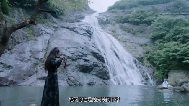 陈情令温情喜欢的是魏无羡得知他这个做法,很心疼魏无羡