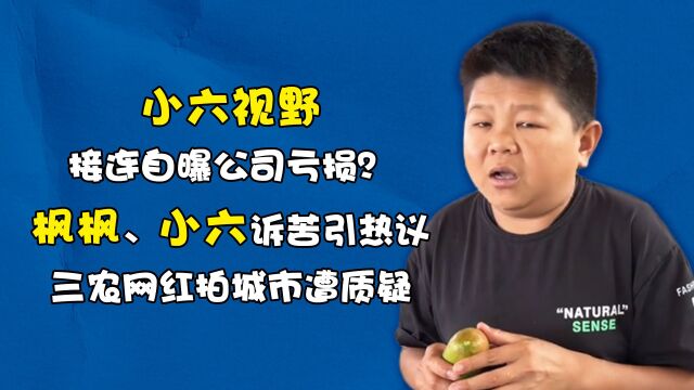 接连自曝公司亏损?枫枫、小六诉苦引热议,三农网红拍城市遭质疑