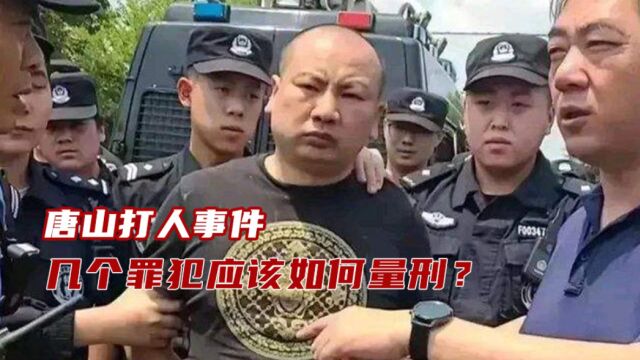 唐山打人事件,几个罪犯应该如何量刑?