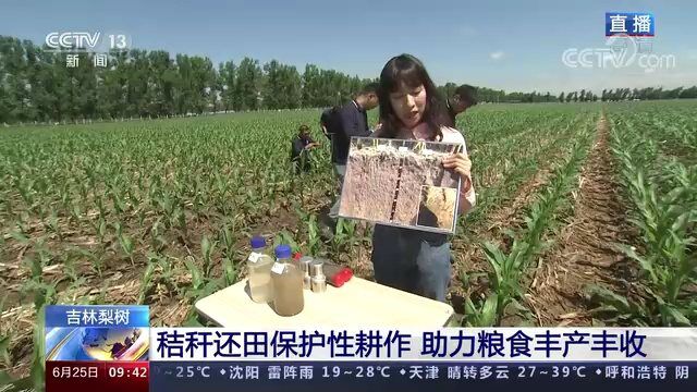 [新闻直播间]吉林梨树 秸秆还田保护性耕作 助力粮食丰产丰收