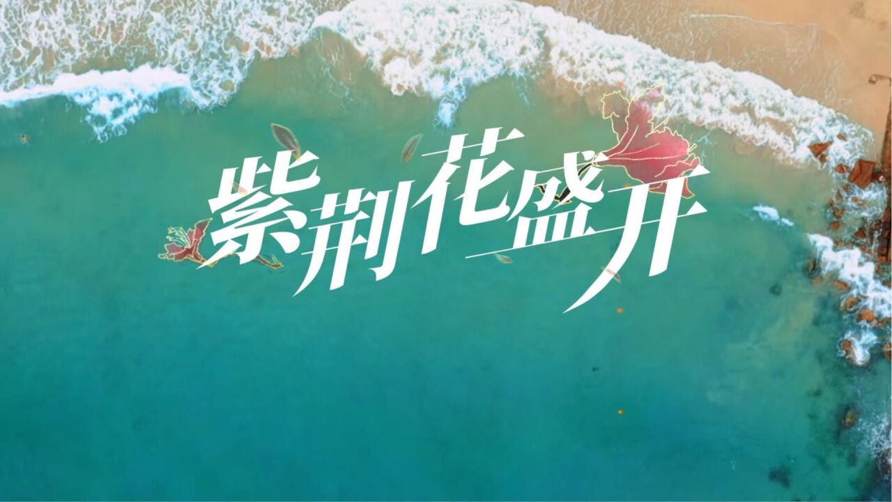 《紫荆花盛开》MV_高清