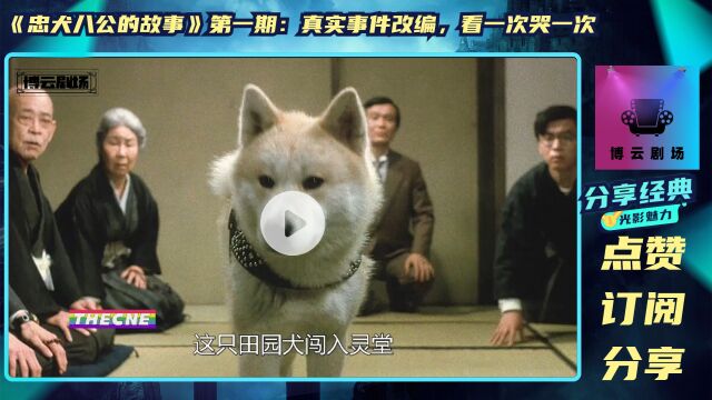 《忠犬八公的故事》第一期:真实事件改编,看一次哭一次