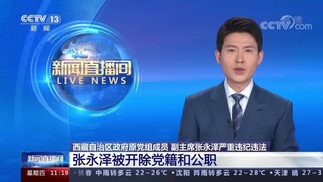 西藏自治区政府原党组成员、副主席张永泽严重违纪违法被“双开”