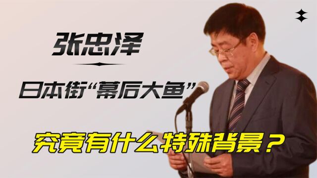 伤害国人建造日本街!“幕后大鱼”终被揪出!张忠泽有何强大背景