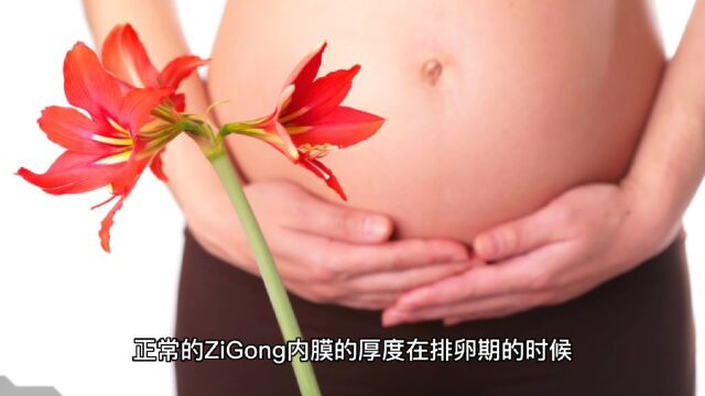 正常的子宫内膜是多厚呢,子宫内膜厚会影响怀孕吗?