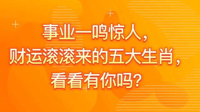 事业一鸣惊人,财运滚滚来的五大生肖,看看有你