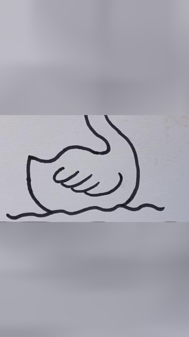 大鹅的简单画法大白鹅图片