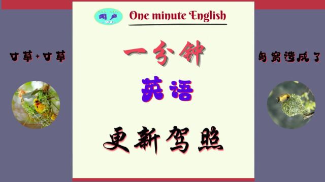 一分钟英语D32 驾照更新 | 英语学习 | Learn English | 英语日常会话| 英语口语