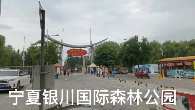 宁夏银川国际森林公园随拍