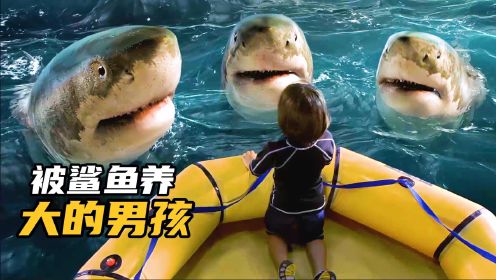 《立体小奇兵》男孩被鲨鱼养大成为半人半鲨，与岩浆女孩联手打败大头怪