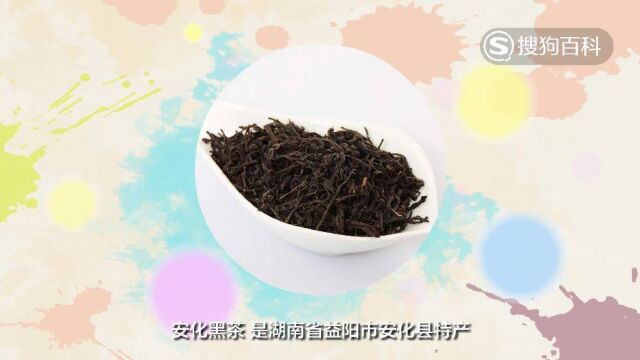 立懂百科带你了解安化黑茶