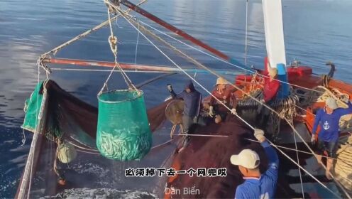国外深海捕捞现场,用大型环网直接捕鱼群,捕捞几十万沙丁鱼上船_高清1080P在线观看平台_腾讯视频