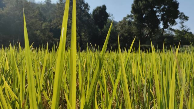 2021.9.28浙江雁荡山天台山