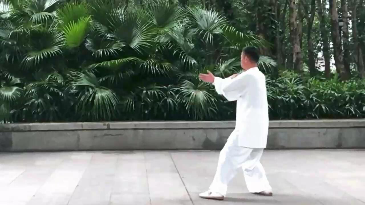 42式太极拳竞赛套路 演练;陈思坦_腾讯视频