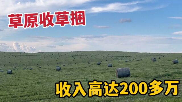 草原上啥都值钱?牧场草捆收入200多万,自家羊群挑羊随便吃