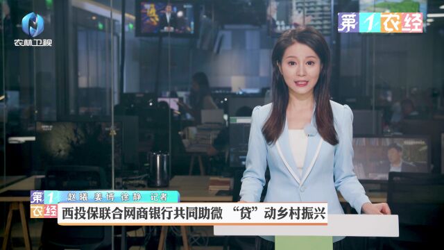 西投保联合网商银行共同助微 “贷”动乡村振兴