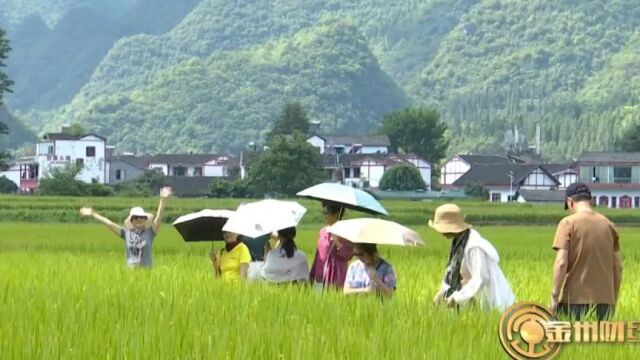 黔西南:消夏避暑受青睐 假日经济火起来