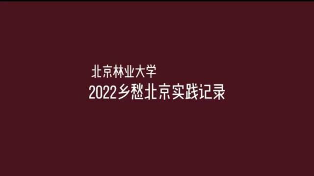 北京林业大学2022乡愁北京实践记录