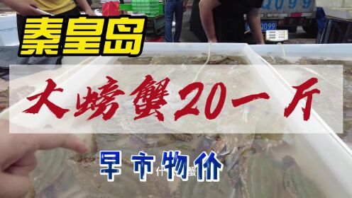 秦皇岛海边早市大螃蟹20元一斤 水蜜桃1元 各种海鲜蔬菜价格便宜