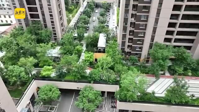 棚户区变身“空中花园”,淄博积极布局全域公园城市建设