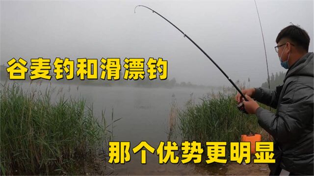 谷麦钓遇到了滑漂钓那个更有优势,这次钓鱼对比,结果非常明显