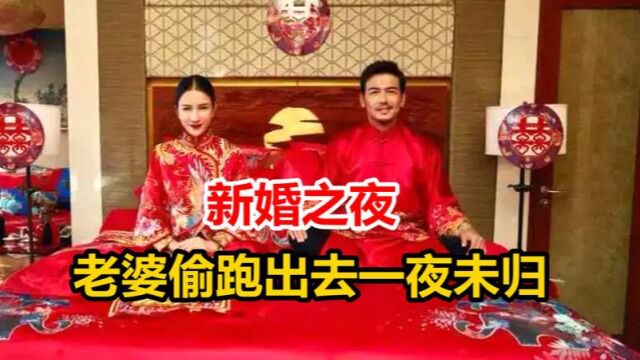 新婚之夜,美女老婆偷跑出去一夜未归,丈夫受不了想要离婚!