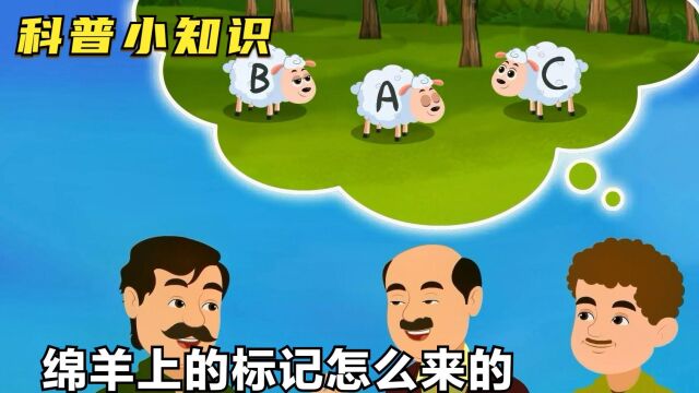 科普小知识:绵羊原来是这样标记的,一般人还真不知道?