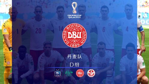 世界杯D组：丹麦队再次与澳大利亚以及法国队同组，在本届赛事开始前来回顾一下上一届童话王国丹麦队的表现
