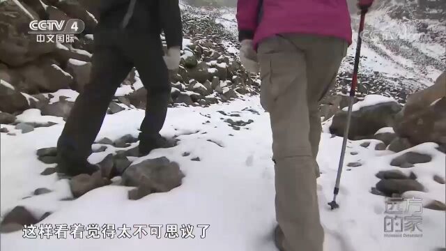 在昆仑山,海拔5000米以上冰雪常年不化,这里只有冬天