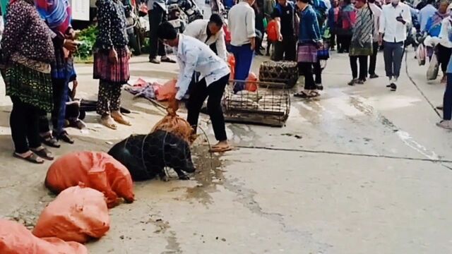 好久没有走过这条街,记录我的农村赶集生活全民摆地摊