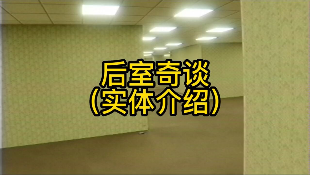 后室奇谈之实体介绍backrooms猎奇胆小慎入奇闻异事_腾讯视频
