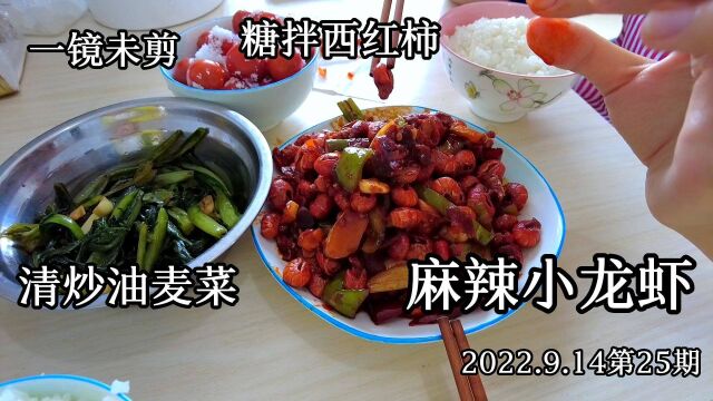 今日菜系,麻辣小龙虾+炒油麦菜+糖拌西红柿(2022.9.14第25期)