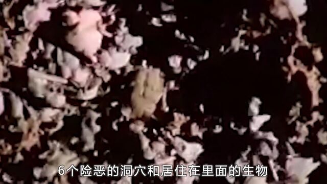 6个险恶的洞穴和居住在里面的生物 