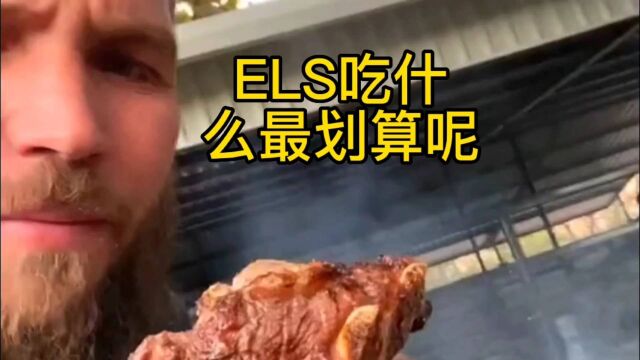 ELS吃什么最划算呢