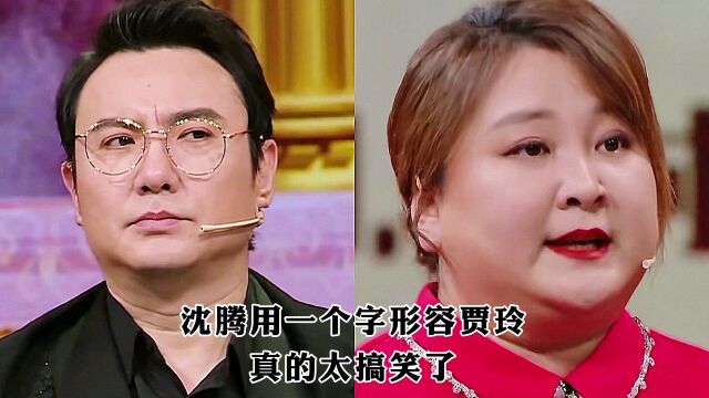 沈腾用一个字形容贾玲,真的太搞笑了