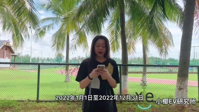 2022年海南新能源补贴申领