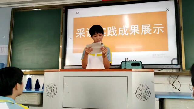 实践成果展示