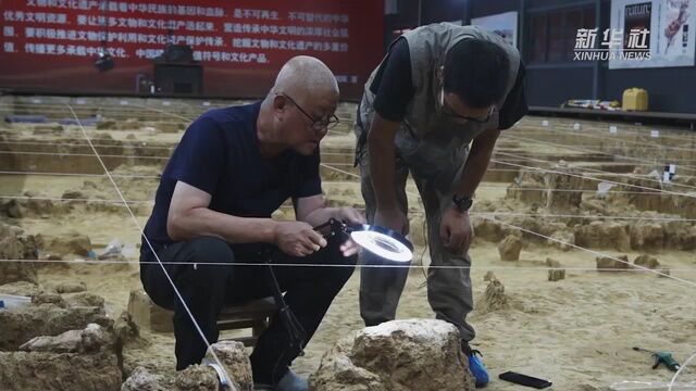 权威快报丨湖北发现迄今欧亚内陆同时代最为完整的直立人头骨化石