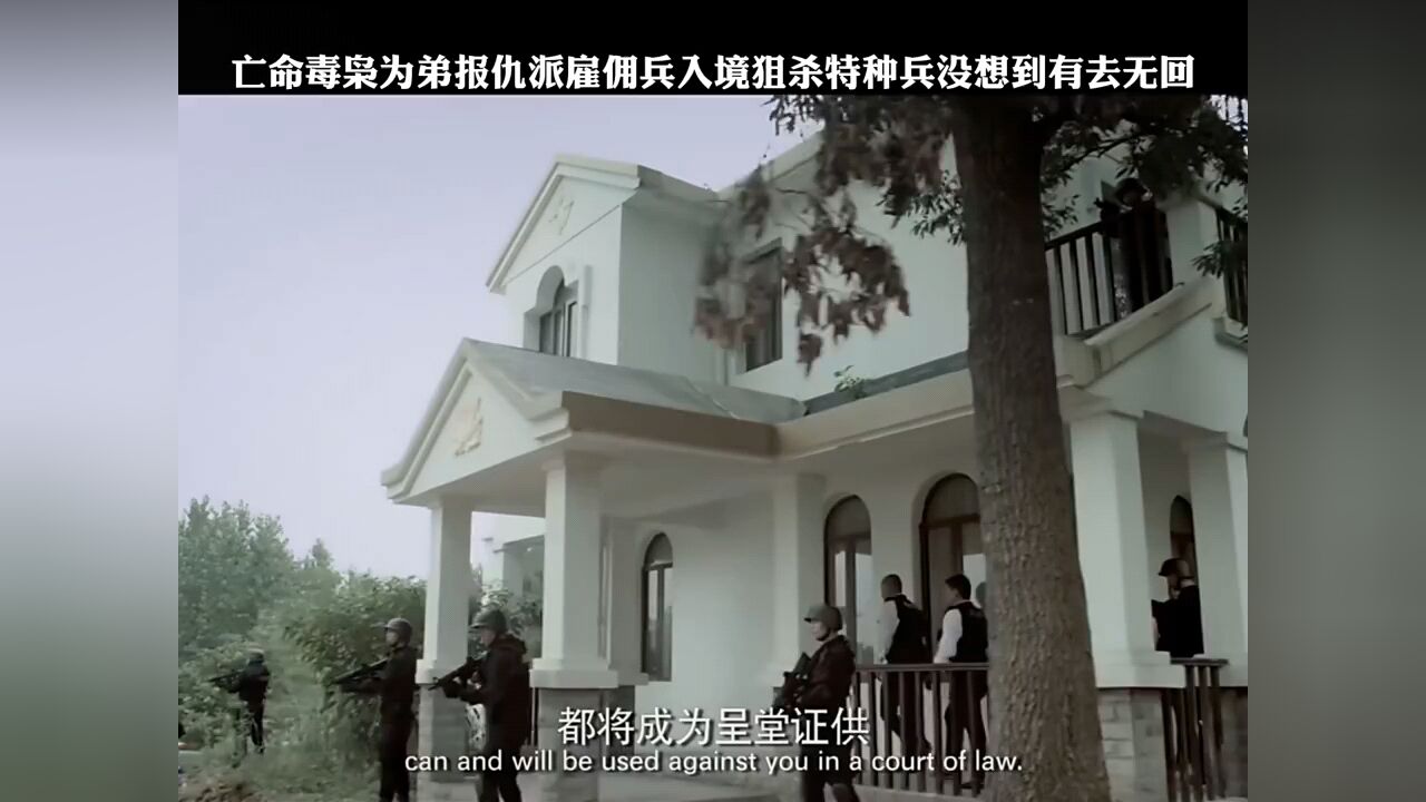 亡命毒枭为弟报仇派雇佣兵入境狙杀特种兵没想到有去无回!_高清1080P在线观看平台_腾讯视频