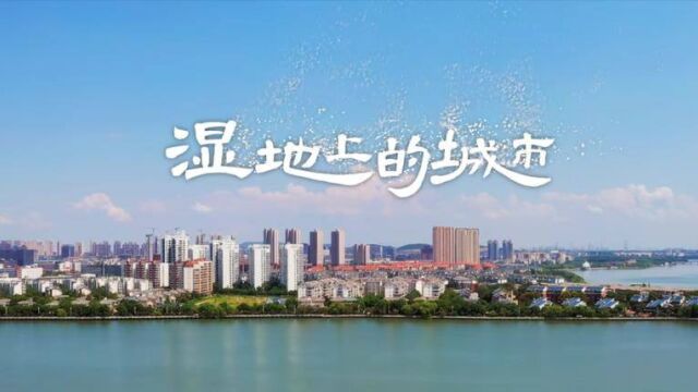 《湿地上的城市》第一集