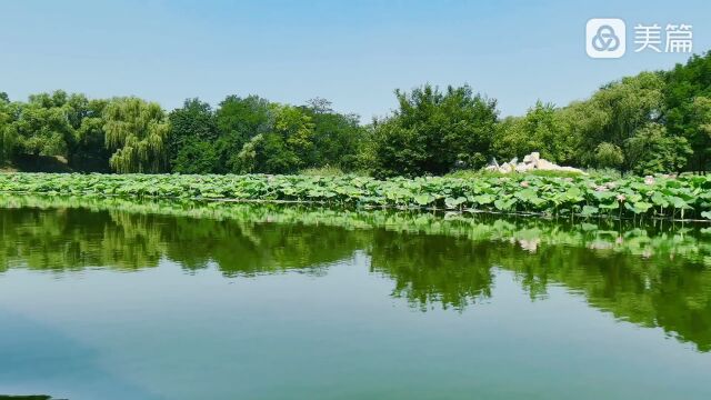 北京圆明园的风景