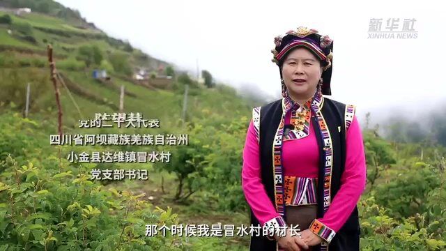 二十大代表风采|陈望慧:“种下”玫瑰产业带富千万家