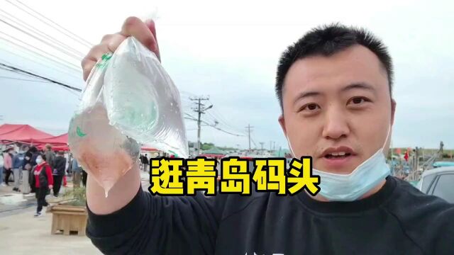 青岛码头有哪些海鲜,看看我淘到了啥好玩的