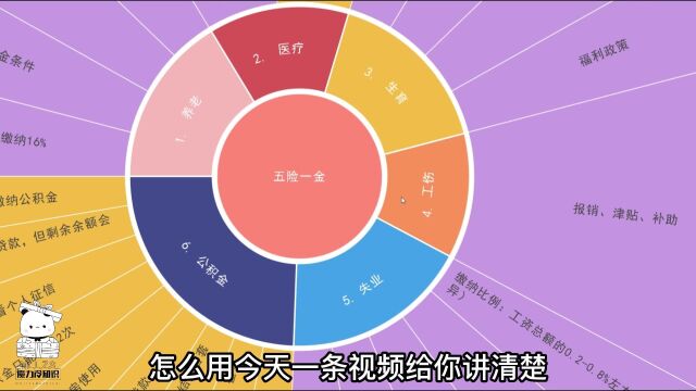 一条视频了解透彻五险一金