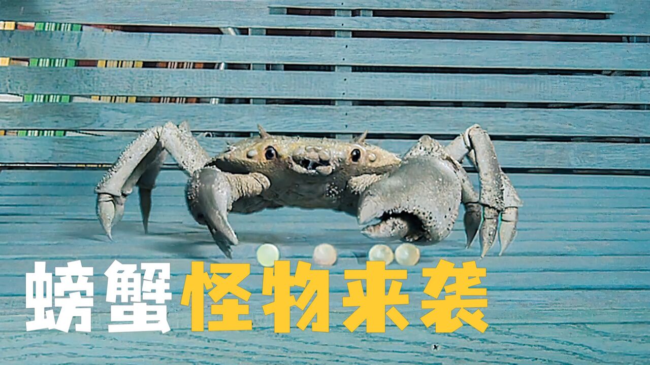 女孩在路边捡到一只螃蟹 没想到最后长的比卡车还大《螃蟹怪物来袭》