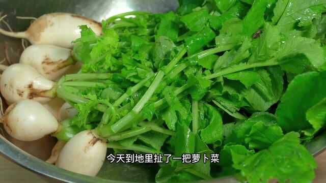 分享一道农家特色菜,萝卜苗炒肉末,又脆又辣,开胃下饭