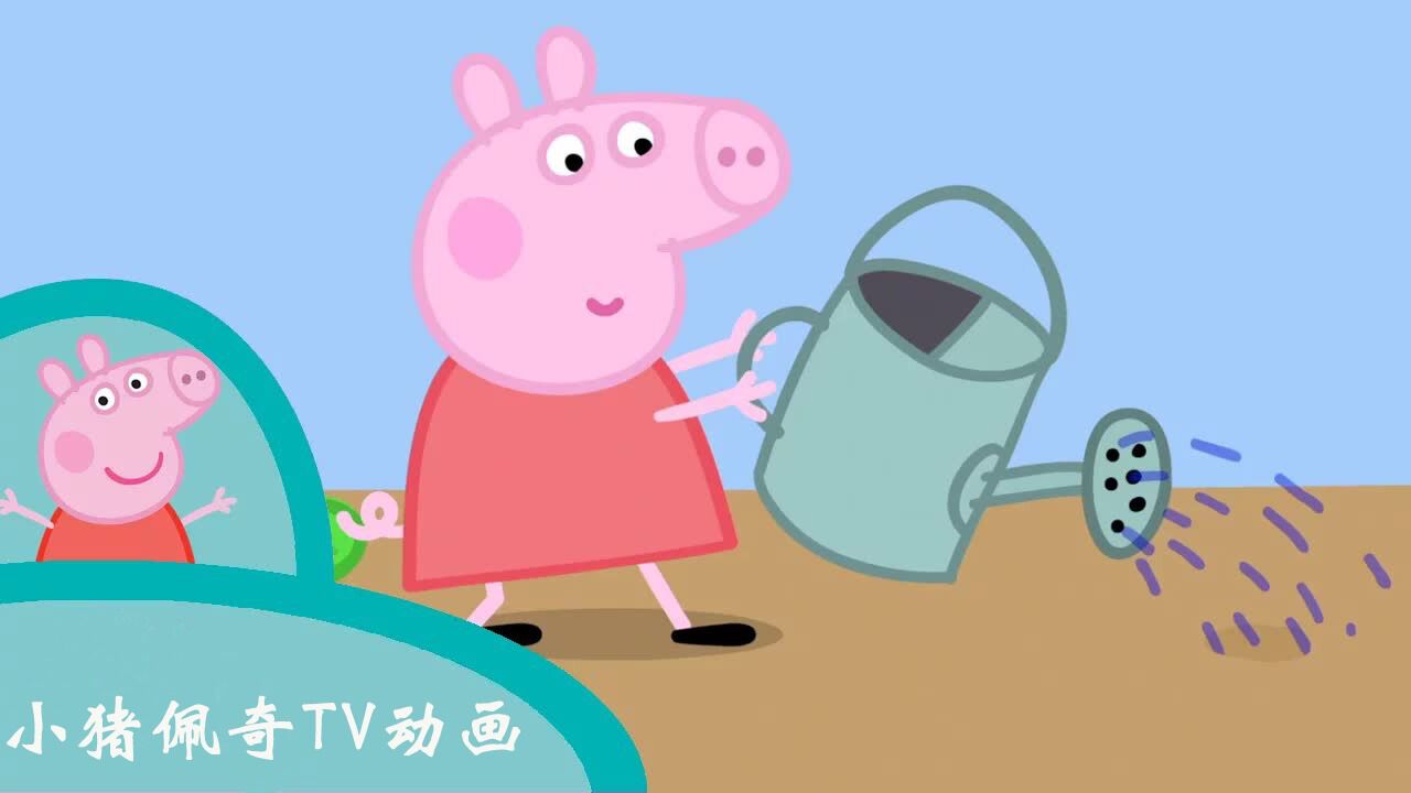 小猪佩奇TV动画_小猪佩奇和乔治跟着猪爷爷学习种植草莓,粉红猪小妹儿童简笔画_高清1080P在线观看平台_腾讯视频
