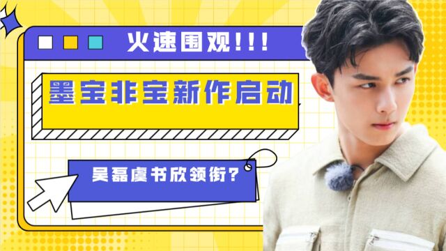 墨宝非宝新作启动,吴磊、虞书欣被爆领衔,王真儿、余承恩加盟