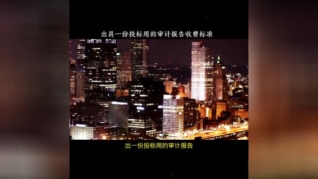 出具一份投标用的审计报告收费标准!特企财审计报告