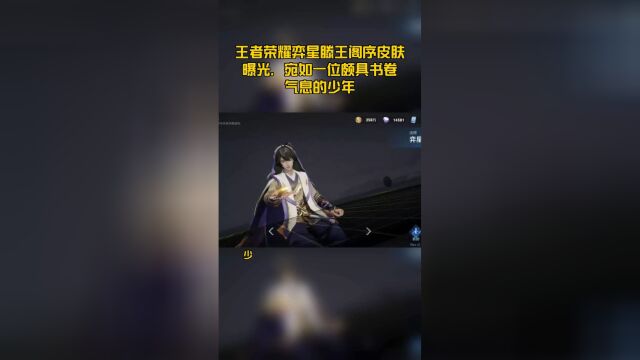 王者荣耀弈星滕王阁序皮肤曝光,宛如一位颇具书卷气息的少年